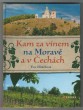 Kam za vínem na Moravě a v Čechách