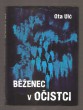 Běženec v očistci