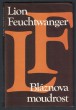 Bláznova moudrost