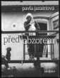 Před obzorem