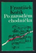 Po zarostlém chodníčku