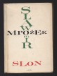 Slon