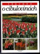 Všechno o cibulovinách