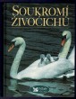 Soukromí živočichů