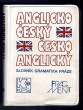 Anglicko-český,česko-anglický slovník