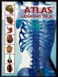 Atlas lidského těla