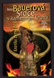 Srdce v kamenném kruhu - Kronika země Bójů