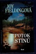 Potok stínů