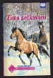 Zima setkávání