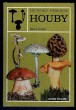 Houby