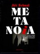 Metanoia – Ztráty a nálezy v ozvěnách času zlatých šedesátých