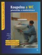 Koupelna a WC: Přestavba a modernizace 