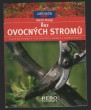 Řez ovocných stromů