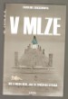 V mlze