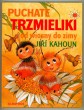 Puchate trzmieliki od wiosny do zimy