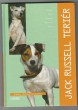 Jack Russell teriér