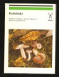 Holubinky