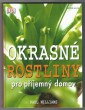 Okrasné rostliny pro příjemný domov