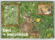 Deti v kožúškoch