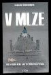 V mlze
