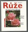 Růže